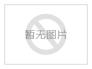 “神猴”出征記